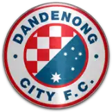 Данденонг Сити U20