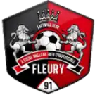 Fleury 91 V