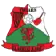 Llanelli AFC